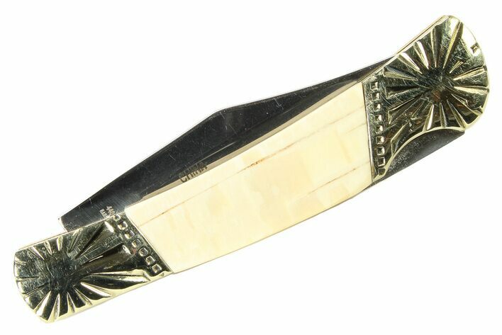 Pocket Knife With Fossil Mammoth Tusk Inlays #337596
